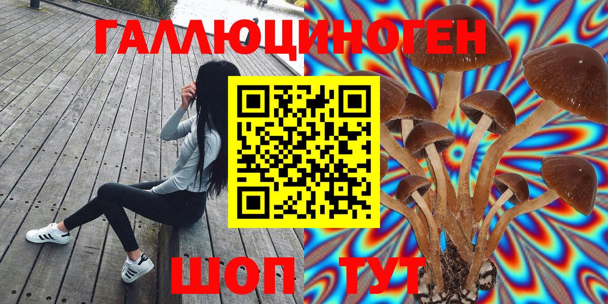 Йошкар-Ола  Галлюциногенные грибы ЛСД  Вход с VPN 
