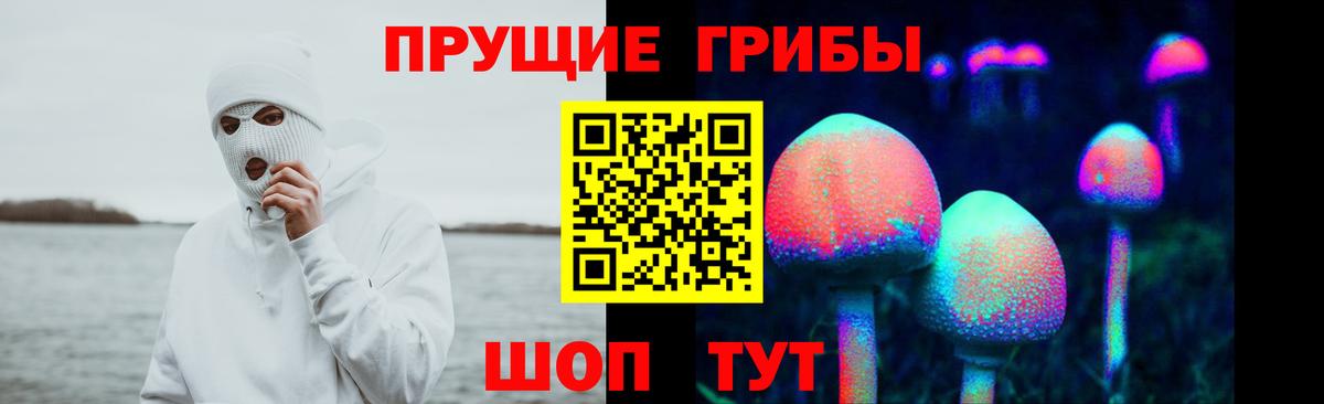 Псилоцибиновые грибы прущие грибы Йошкар-Ола